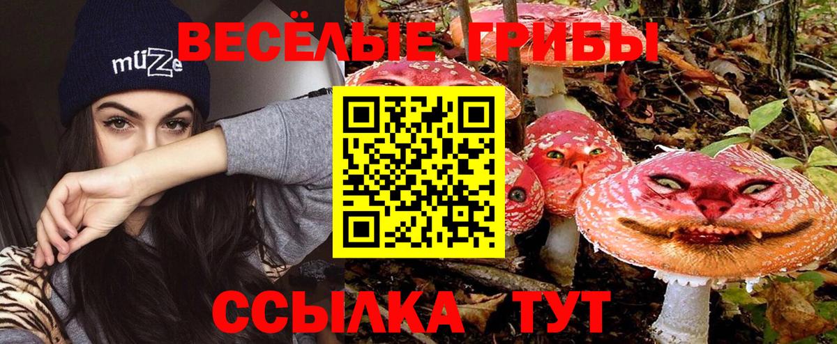 Ликино-Дулёво  Псилоцибиновые грибы Cubensis  Вход с VPN 